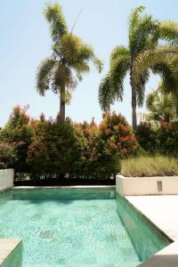 ウルワツにあるVilla Anugrahのヤシの木が背景に浮かぶスイミングプール