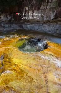 Naturlandskabet i nærheden af lejligheden
