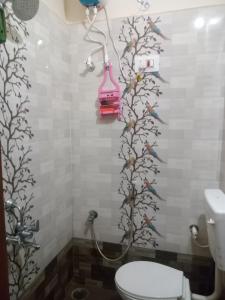 baño con aseo y aves en la pared en Nagaraj, en Hampi