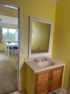 Buena Vista في جيرالدين: حمام مع حوض ومرآة