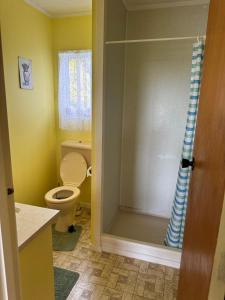 a bathroom with a toilet and a shower at Buena Vista in Geraldine