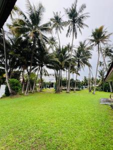 Κήπος έξω από το Villa29 Rathnagiri