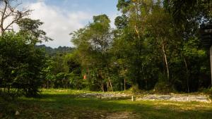 a grass field with trees in the background at Hilir Hening in Batu Caves