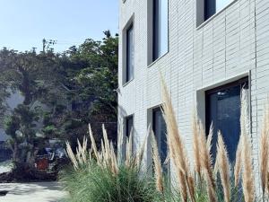 a building with tall grass in front of it at 제주 신성의 숲 웰니스 호텔 in Haean