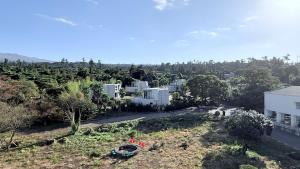 uma vista aérea de uma cidade com edifícios e árvores em 제주 신성의 숲 웰니스 호텔 em Haean