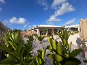 Zahrada ubytování Apartments & Wellness Diva