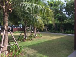 a palm tree with two wooden stands next to a tree at Avatar Railay in Railay Beach