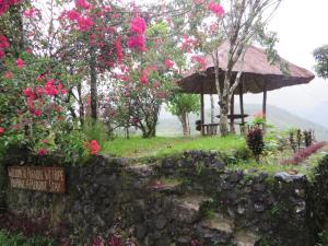 a small hut with pink flowers and a stone wall at Native Village Inn in Banaue
