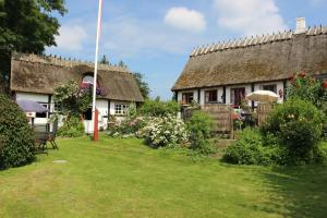 a house with a thatched roof and a yard at Travel back in time in Nyord +3 photos