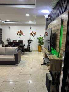 RBZ Apartments في Maryland: غرفة معيشة مع أريكة وتلفزيون