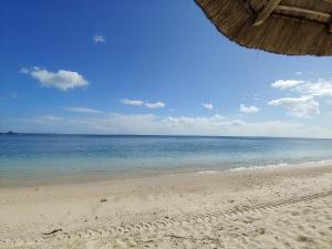 弗利康弗拉克4Beds- Beachfront Bungalow的一个带草伞的海滩和大海