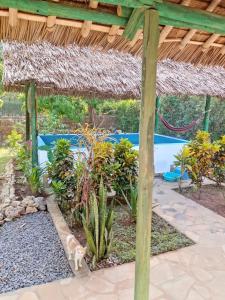 Zahrada ubytování SIMBA House