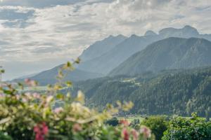 a view of a valley with mountains in the background at Cafe Pension Kitzer in Haus im Ennstal