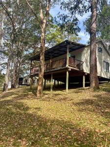 ein Haus mit einer großen Terrasse im Wald in der Unterkunft Yulo Kopa in Ellenborough