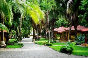 a beach with palm trees and palm trees at Esencia Hotel and Villas in Santa Teresa Beach