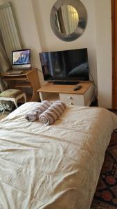 um quarto com uma cama, uma televisão e uma secretária em Edwardian Apartment Garden Flat em Londres
