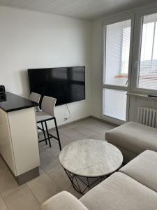 Μια τηλεόραση ή/και κέντρο ψυχαγωγίας στο Apartmán Most