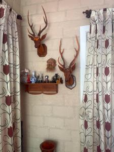 Fotografie z fotogalerie ubytování Camping Site Bambaragala v destinaci Kudadeniya