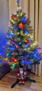 a christmas tree with lights and a cat under it at Domek na Folwarku z jacuzzi in Tarnawa Dolna