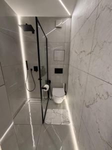 a bathroom with a shower and a toilet in it at JE downtown suite in Jelgava