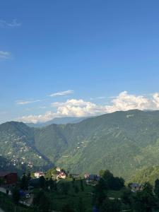 Příroda nedaleko chaty