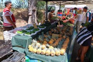 un puesto de frutas con piñas y otras frutas y hortalizas en RÊV BOR D'MER, en Étang-Salé les Bains 20 fotos más