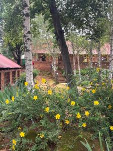 a garden with yellow flowers in front of a building at Critchley Hackle - Deluxe garden units in Dullstroom +12 photos
