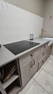 a kitchen with a counter with a sink at Critchley Hackle - Deluxe garden units in Dullstroom