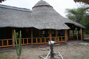 a cactus in front of a building with a thatch roof at Roika Tarangire Tented Lodge in Kwa Kuchinia