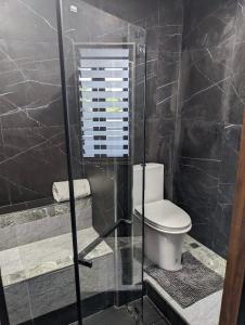 une salle de bains avec toilettes et douche en verre dans l'établissement My Dream Wedding Apartments, à Nathon Bay