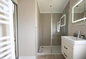 un bagno con doccia e lavandino di Primrose 2 bed - Violet a Horham