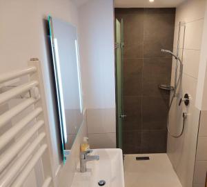 Koupelna v ubytování Pension Waldhof + 46 fotografií