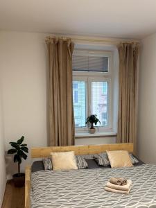 a bedroom with a large bed with a window at Apartmán Bellevie in Znojmo