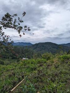 Φυσικό τοπίο κοντά σε αυτή η εξοχική κατοικία