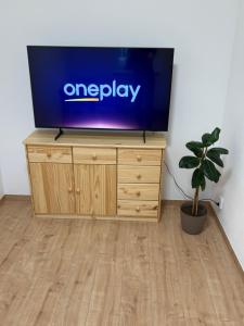 a television on top of a wooden dresser with a plant at Apartmán Bellevie in Znojmo