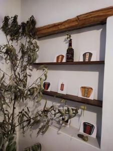 ein Regal mit Flaschen und eine Pflanze darauf. in der Unterkunft Loft acogedor in Ollantaytambo
