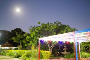 ストームス・リバーにあるStorms River Self Catering Apartmentsの夜の庭にライトアップされたテント