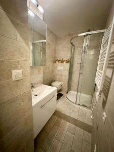 コクセッドにあるStudio Vriedom aan zeeのトイレ、洗面台、シャワー付きのバスルーム