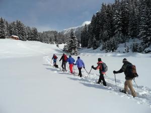 Un grupo de personas practicando esquí de fondo en la nieve. en Panorama Wildgrat, en Wenns