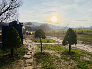 a pathway in a field with trees and the sunset at Jemiołucha Glamp in Bodzentyn