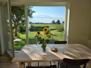 Κήπος έξω από το Naturhaus Havelland