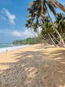 a sandy beach with palm trees and the ocean at Villa Kyda - 2 Min walk to the Beaches! in Tangalle