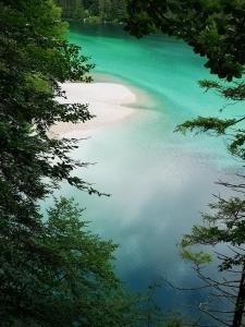 Φυσικό τοπίο κοντά σε αυτό το διαμέρισμα +51 φωτογραφίες