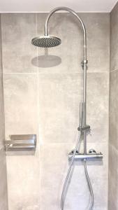 a shower with a shower head in a bathroom at Villa Wewelsburg in Büren +18 photos