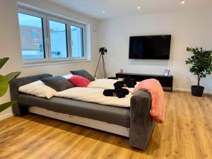 Μια τηλεόραση ή/και κέντρο ψυχαγωγίας στο Pinke Auszeit - Neubau, Stellplatz, Smart-TV, WLAN