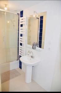 Un baño blanco con lavabo y ducha. en cosy studio dans une maison d'hôte, en Bourg-en-Bresse