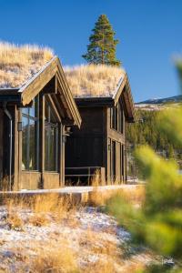 a building with a grass roof with a tree in the background at Ny og moderne hytte med sauna, jacuzzi og eget spillrom med biljard og dart Gratis elbillading og strøm inkludert i prisen in Flå