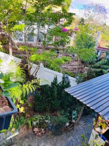 Κήπος έξω από το Harmony Nest homestay