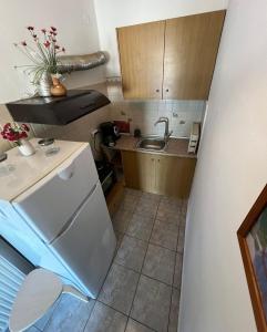 a small kitchen with a sink and a refrigerator at ILIOVASILEMA - Ηλιοβασίλεμα in Pefki +62 photos