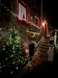 Chez Malou & Hugo vue lac proche Suisse & stations ! في سانت غينغولف: شجرة عيد الميلاد أمام منزل به أضواء